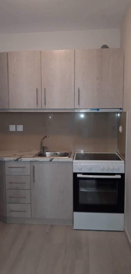 Nikiana Family Apartment Dış mekan fotoğraf