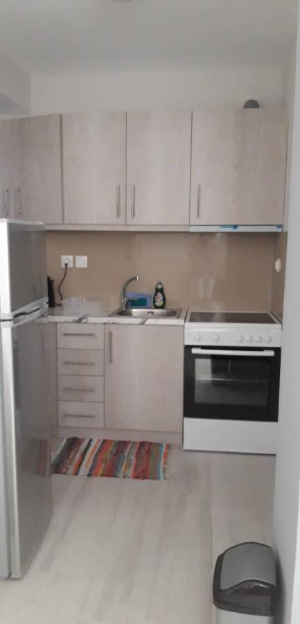 Nikiana Family Apartment Dış mekan fotoğraf