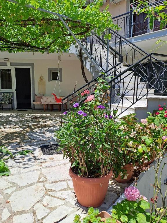 Nikiana Family Apartment Dış mekan fotoğraf
